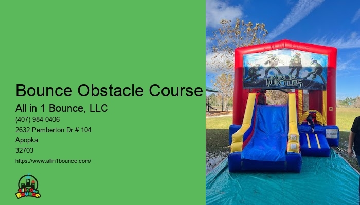 Bounce And Slide Inflatables